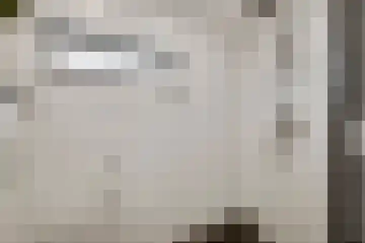 van der Renneweg 24 Herkenbosch thumbnail 15