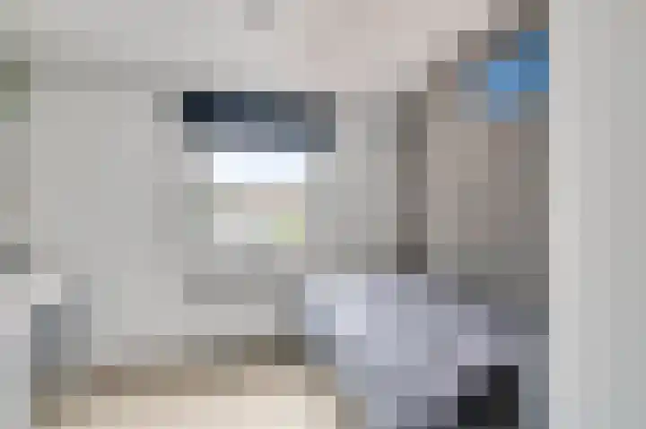 van der Renneweg 24 Herkenbosch thumbnail 17