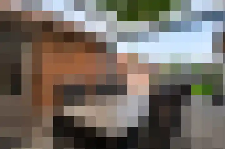 van der Renneweg 24 Herkenbosch thumbnail 22