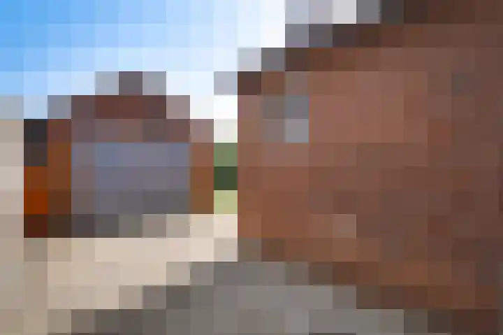 van der Renneweg 24 Herkenbosch thumbnail 25