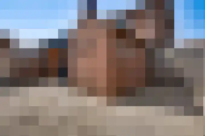 van der Renneweg 24 Herkenbosch thumbnail 26