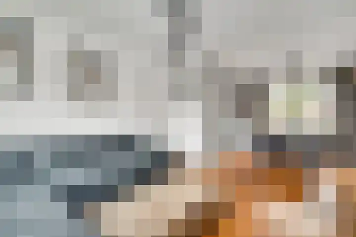 van der Renneweg 24 Herkenbosch thumbnail 8