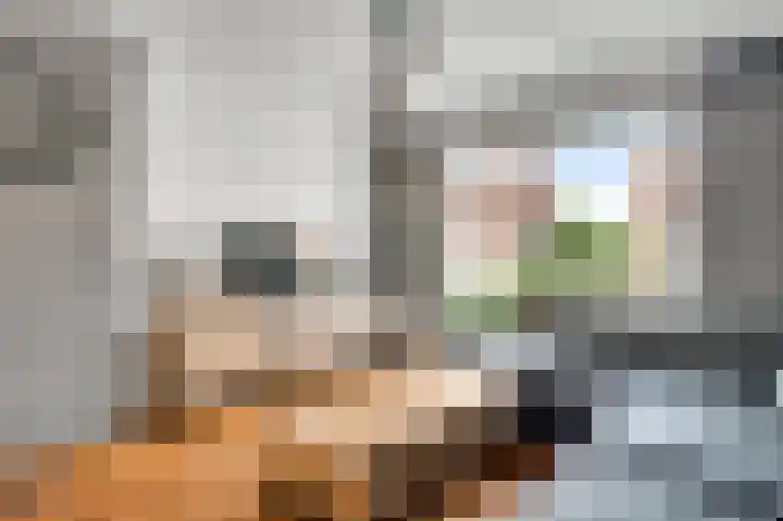 van der Renneweg 24 Herkenbosch thumbnail 9