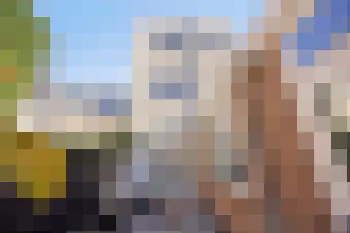 Van der Rijtstraat 47 Bergen op Zoom thumbnail 23