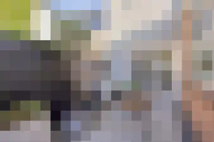 Van der Rijtstraat 47 Bergen op Zoom thumbnail 5