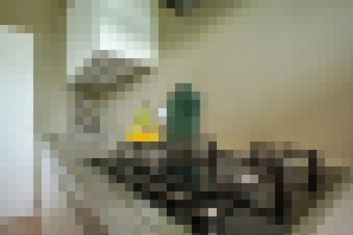 van der Scheerstraat 1 Assen thumbnail 11