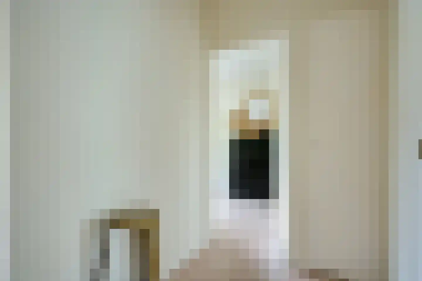 van der Scheerstraat 1 Assen thumbnail 15
