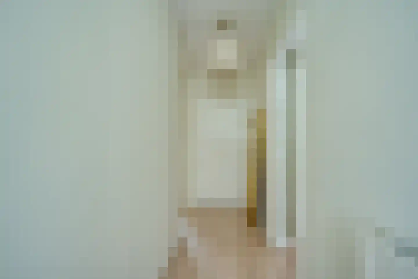 van der Scheerstraat 1 Assen thumbnail 20