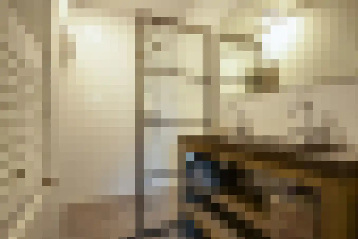 van der Scheerstraat 1 Assen thumbnail 21