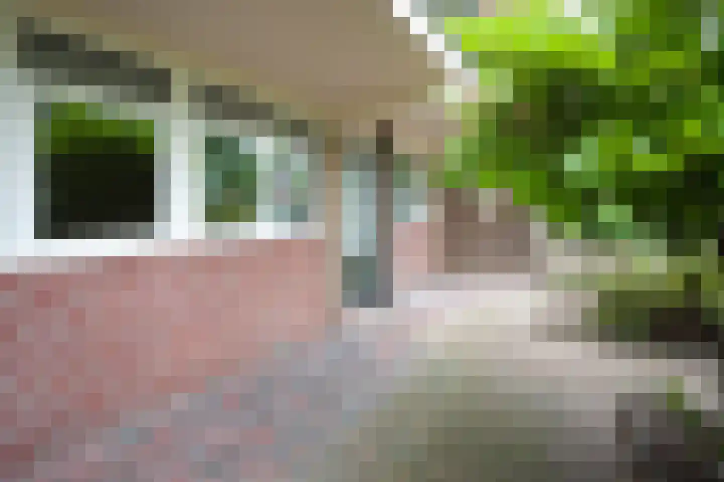 van der Scheerstraat 1 Assen thumbnail 26