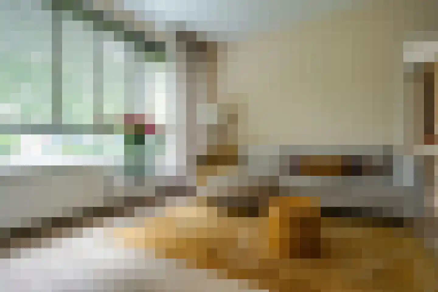 van der Scheerstraat 1 Assen thumbnail 4