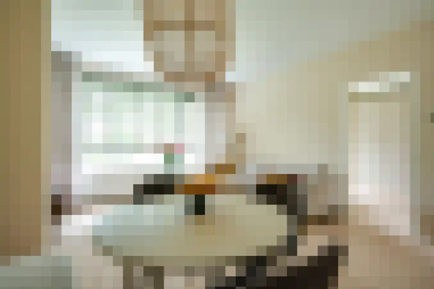 van der Scheerstraat 1 Assen thumbnail 6