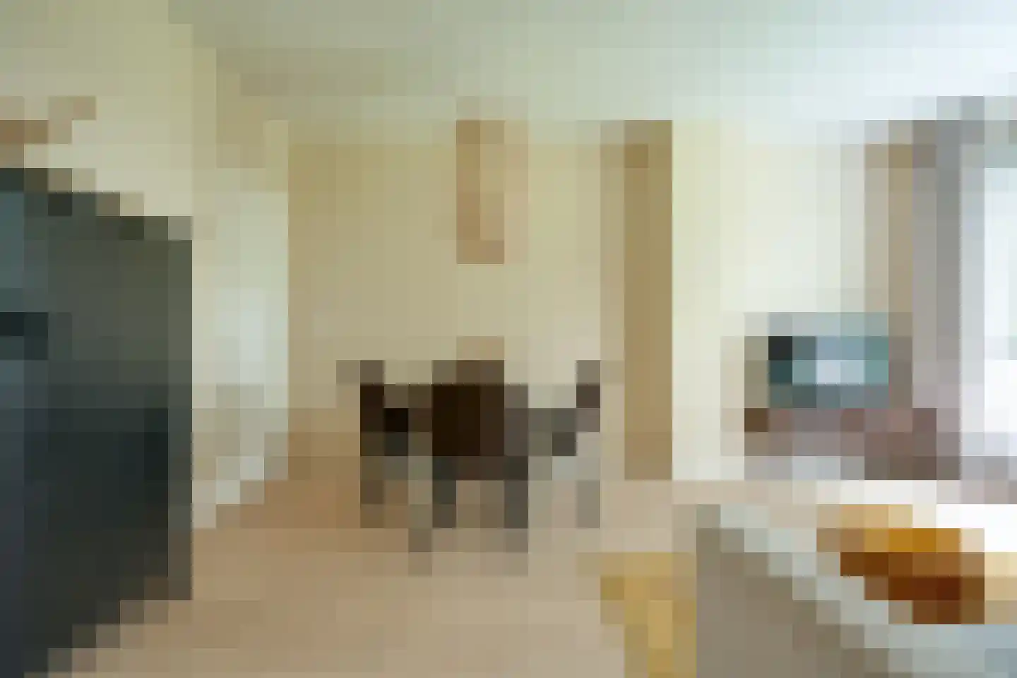 van der Scheerstraat 1 Assen thumbnail 7