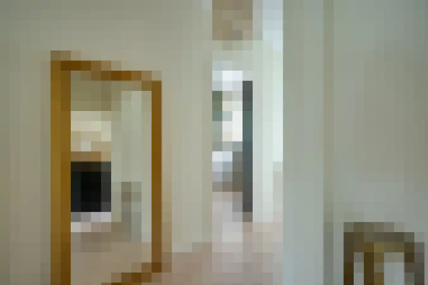 van der Scheerstraat 1 Assen thumbnail 8