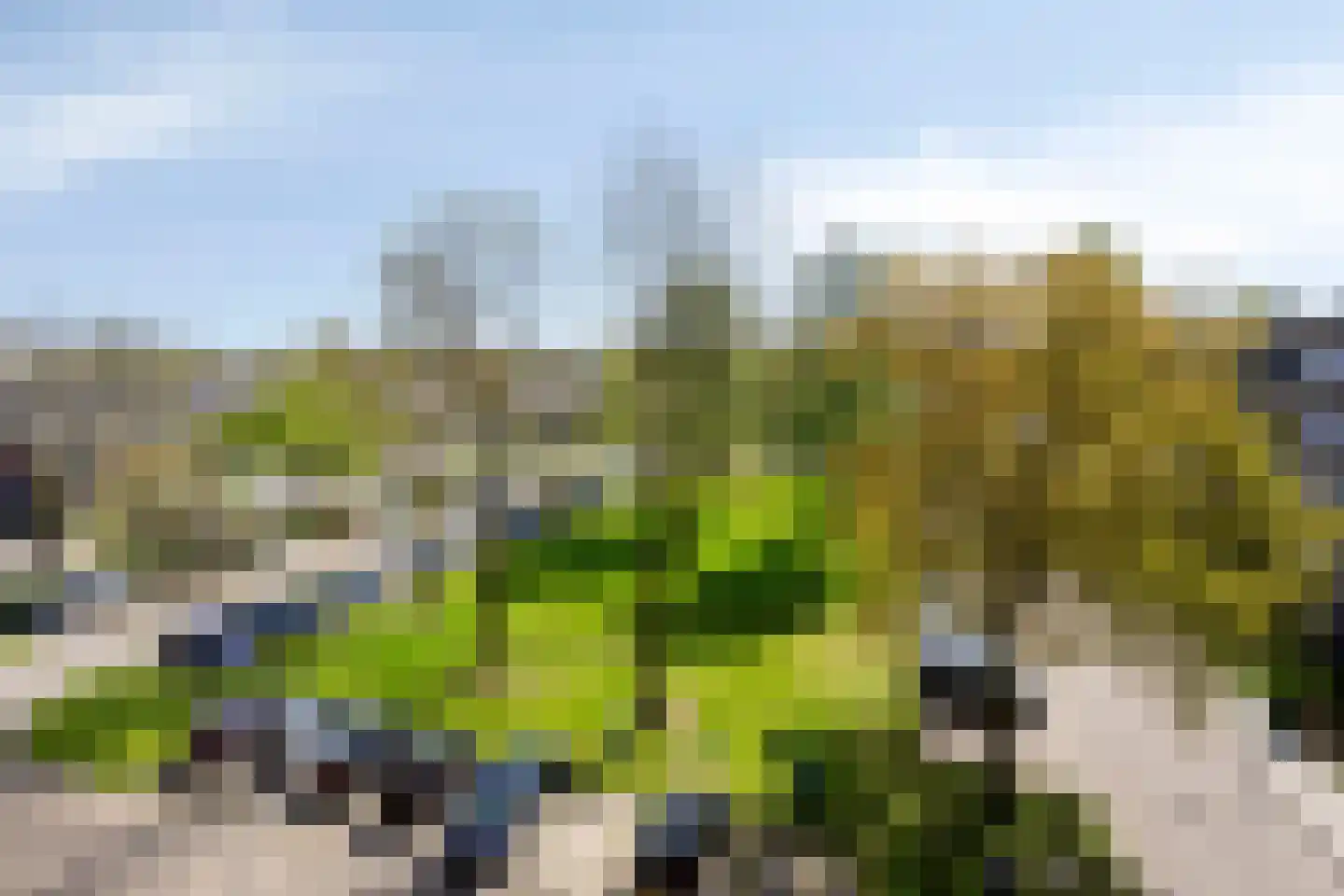 van der Scheerstraat 117 Assen thumbnail 11