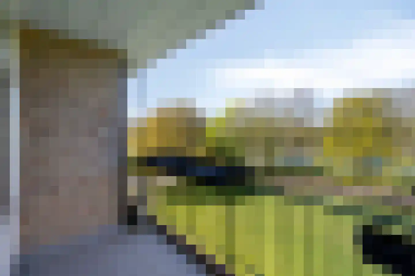 van der Scheerstraat 117 Assen thumbnail 22