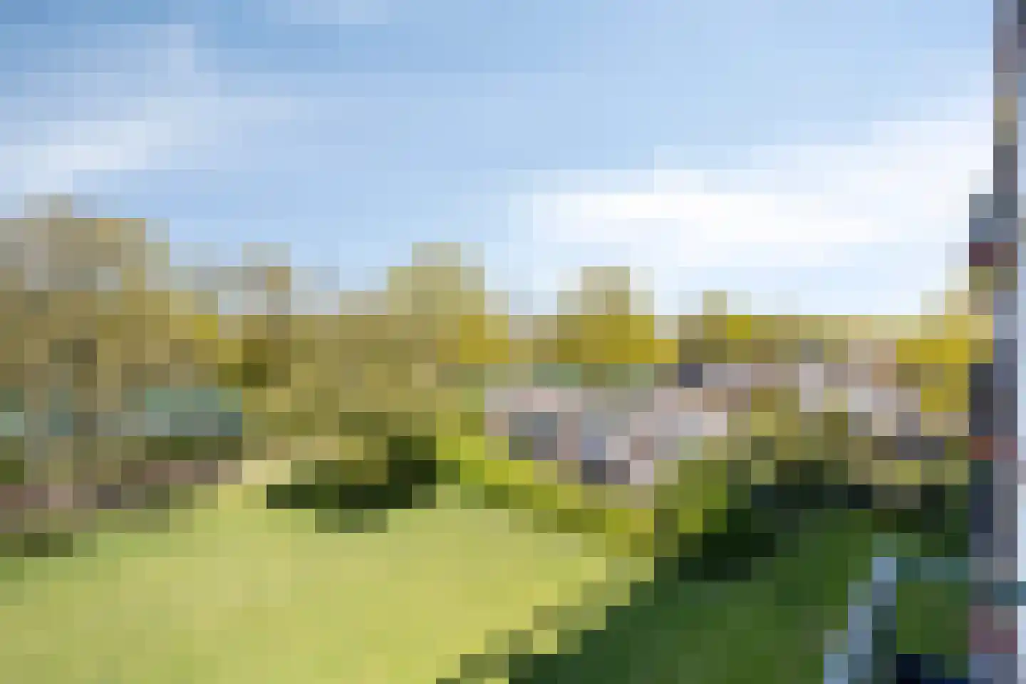van der Scheerstraat 117 Assen thumbnail 23