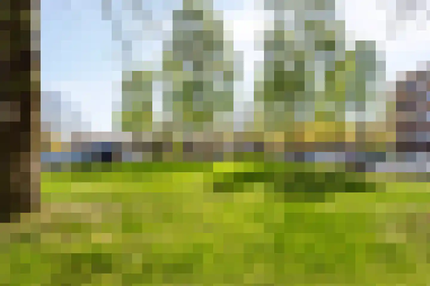van der Scheerstraat 117 Assen thumbnail 37