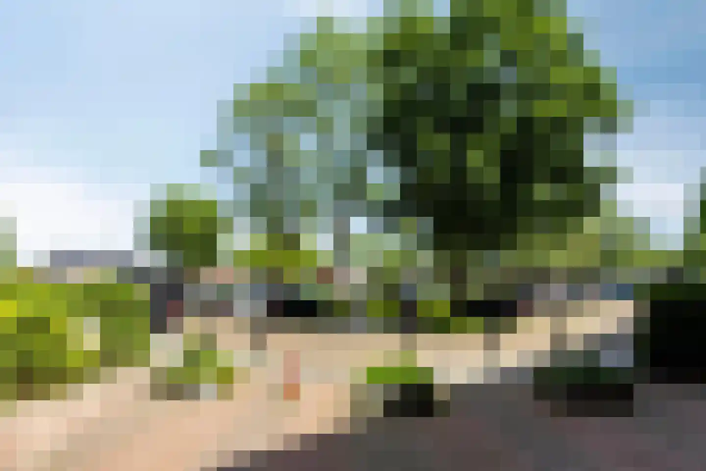 van der Scheerstraat 33 Assen thumbnail 10