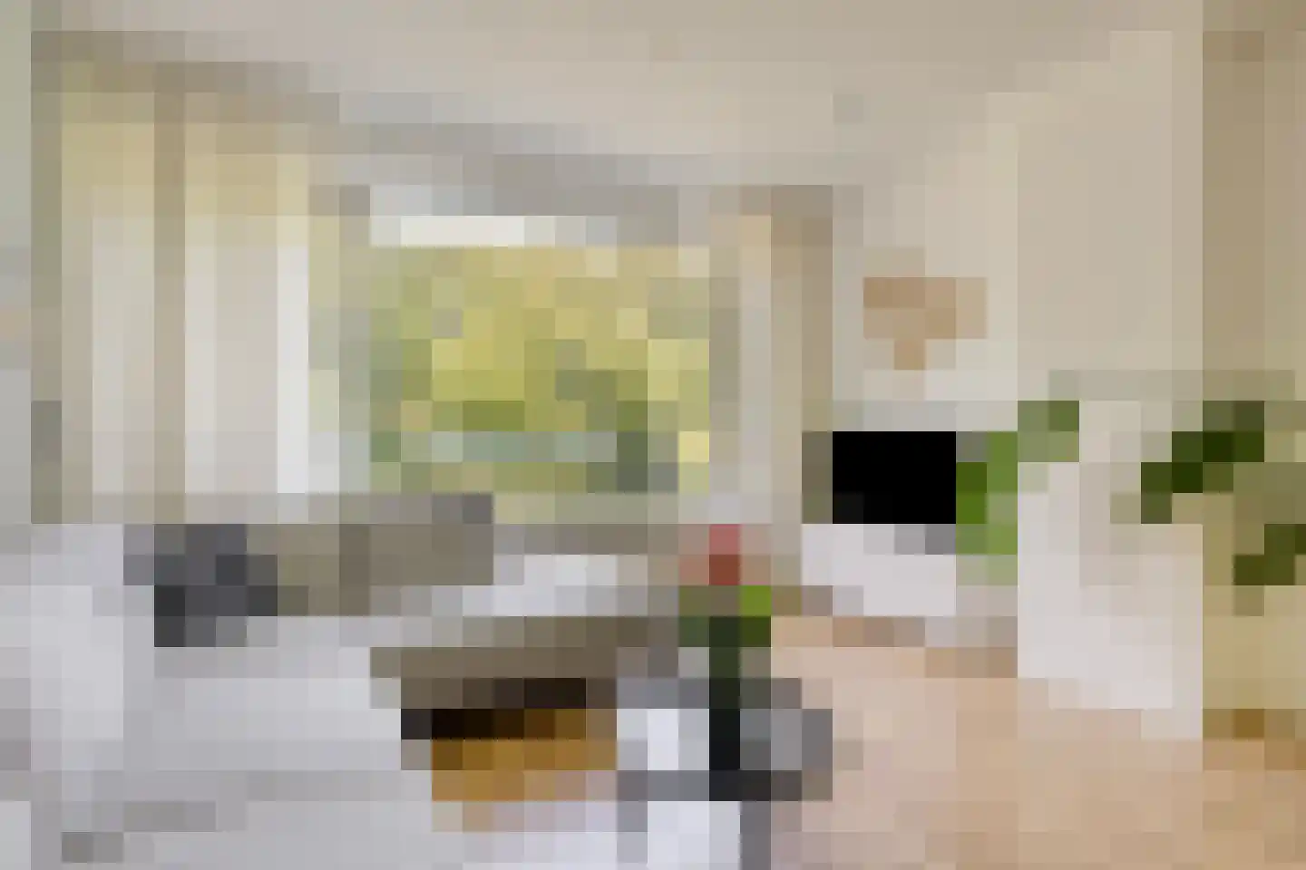 van der Scheerstraat 33 Assen thumbnail 21