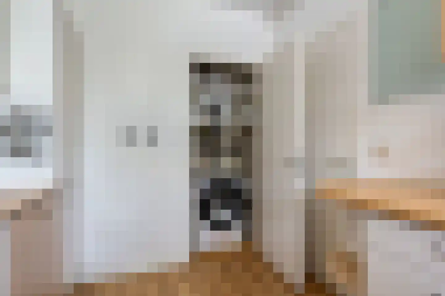 van der Scheerstraat 33 Assen thumbnail 25