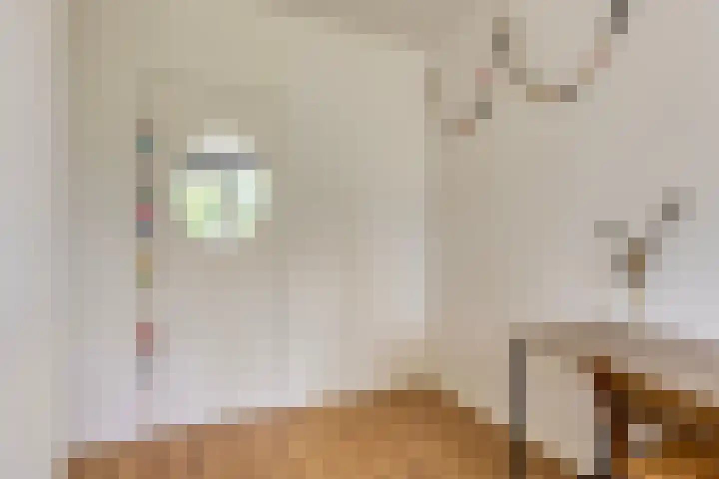 van der Scheerstraat 33 Assen thumbnail 31