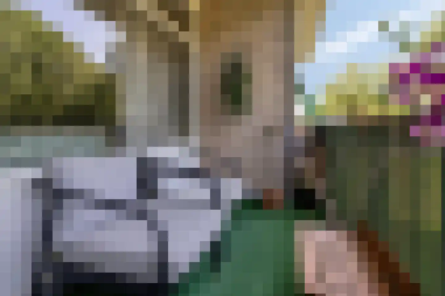 van der Scheerstraat 33 Assen thumbnail 34
