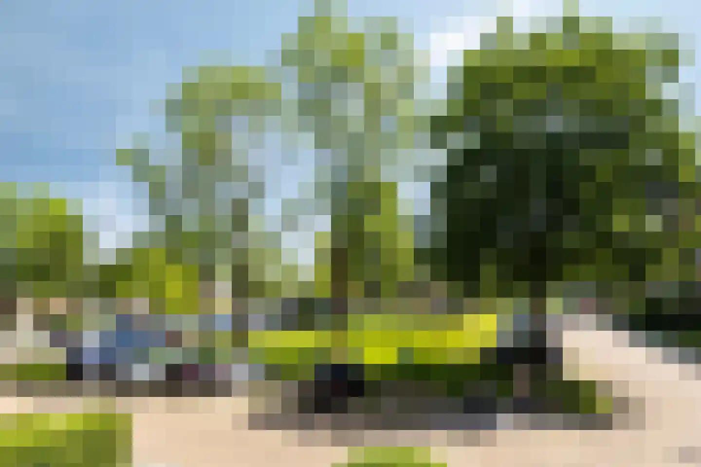 van der Scheerstraat 33 Assen thumbnail 36