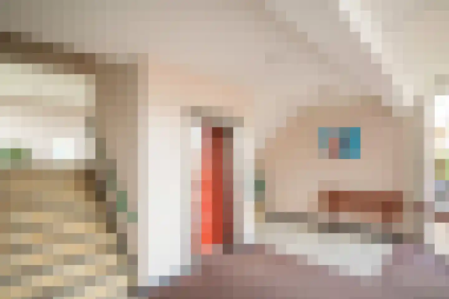 van der Scheerstraat 99 Assen thumbnail 10