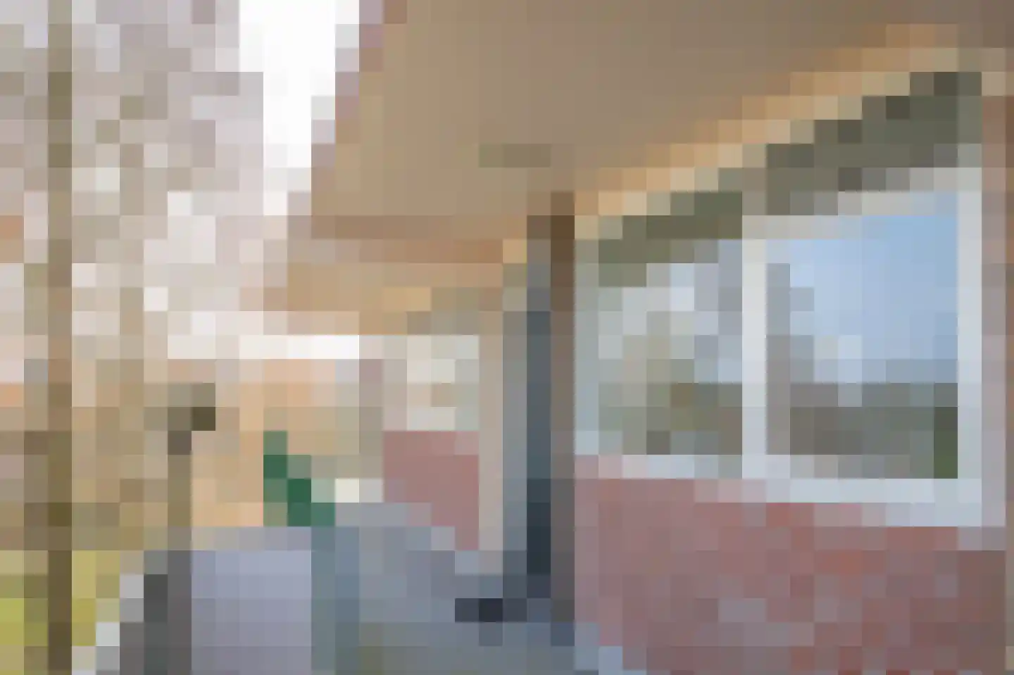van der Scheerstraat 99 Assen thumbnail 13