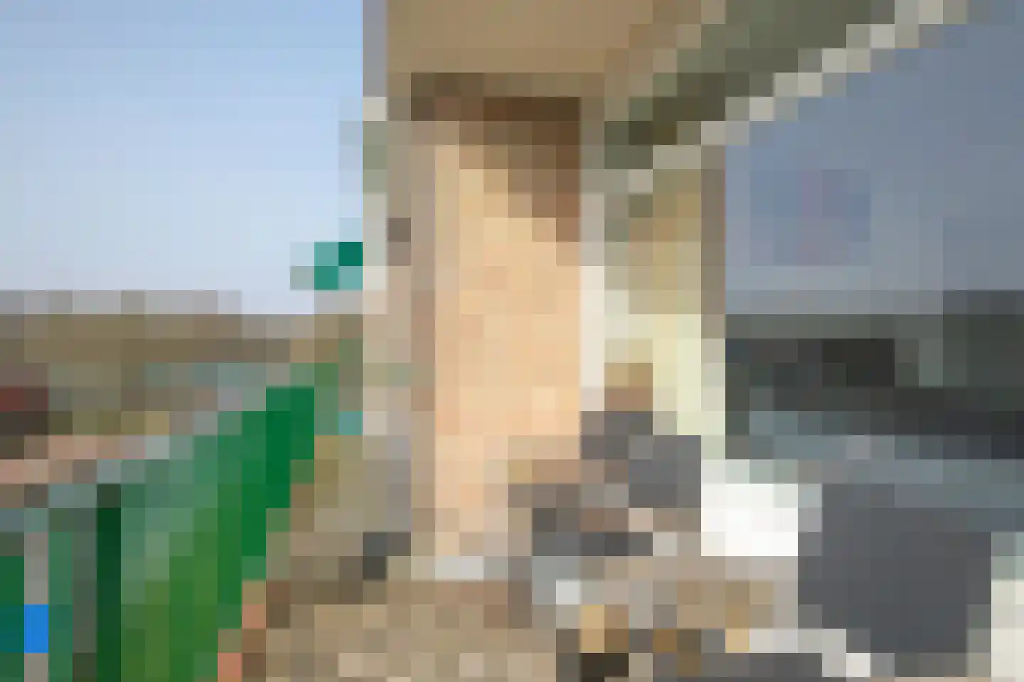 van der Scheerstraat 99 Assen thumbnail 30