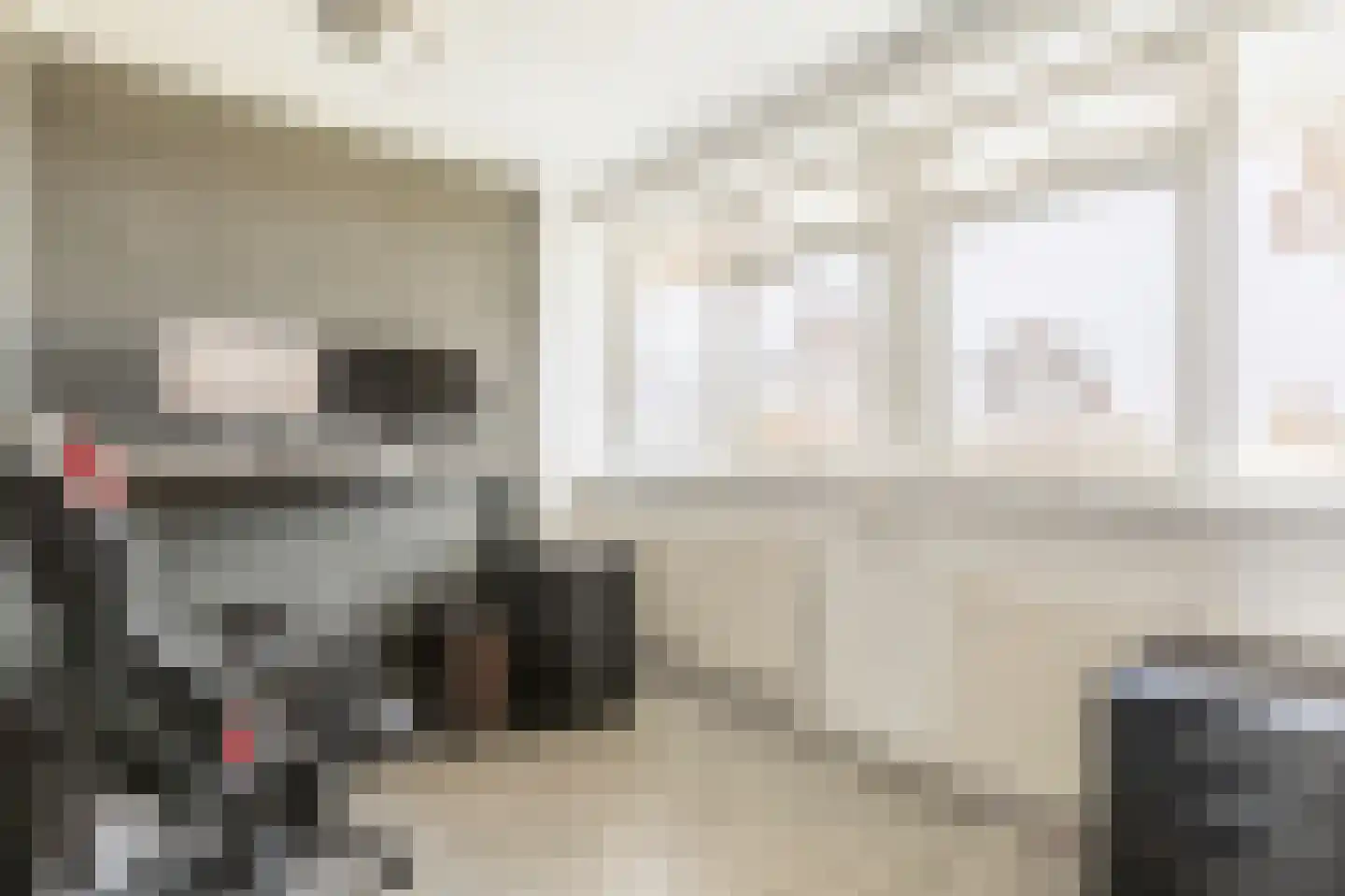 van der Scheerstraat 99 Assen thumbnail 33