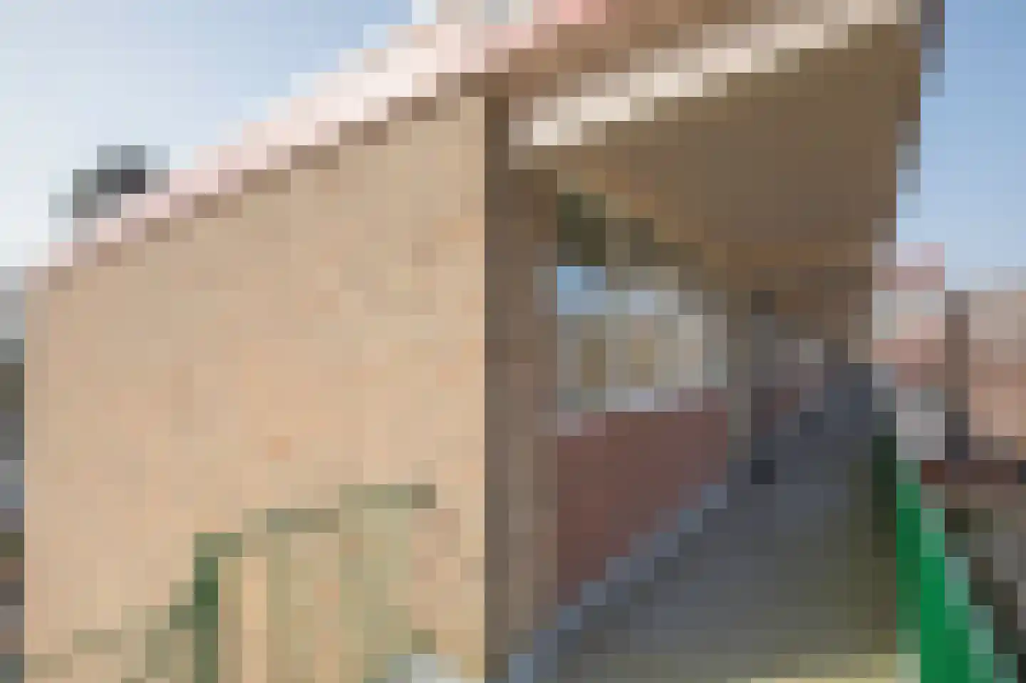 van der Scheerstraat 99 Assen thumbnail 34