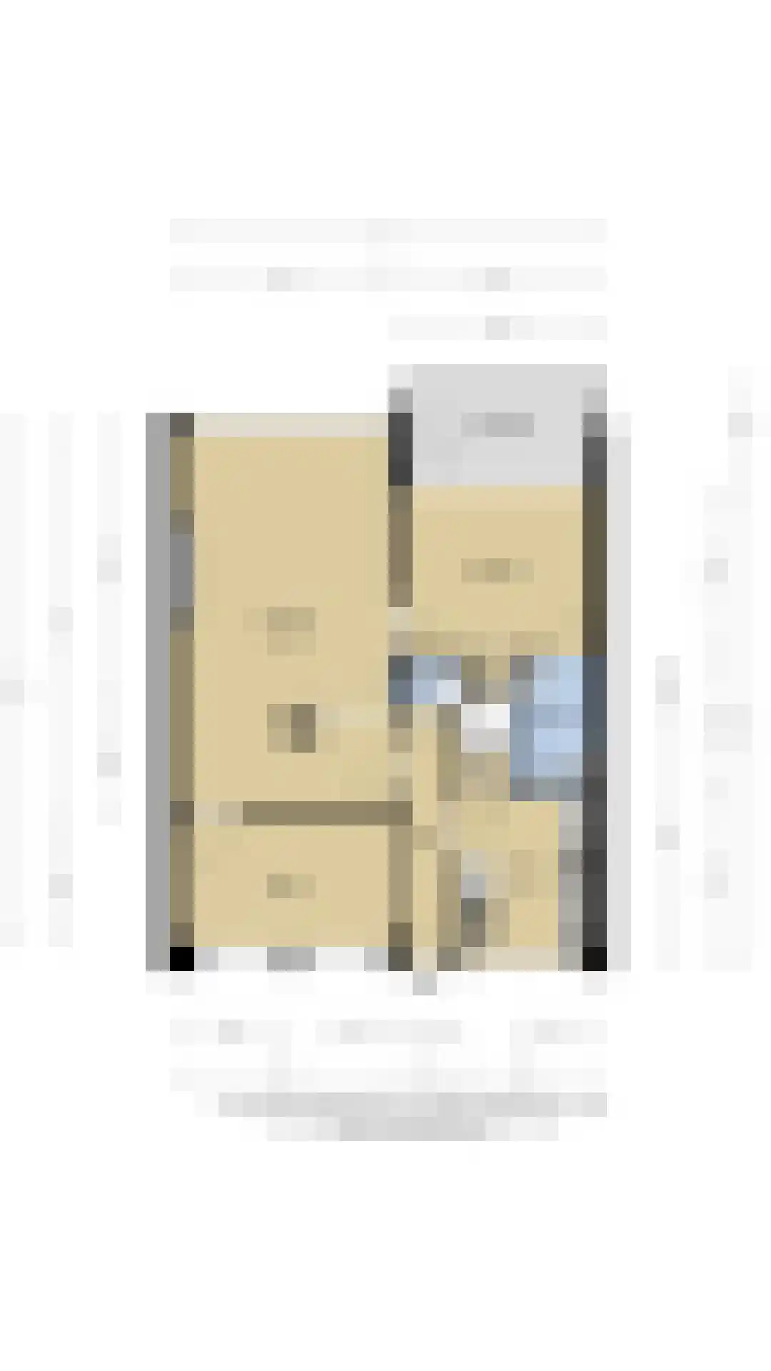 van der Scheerstraat 99 Assen thumbnail 37