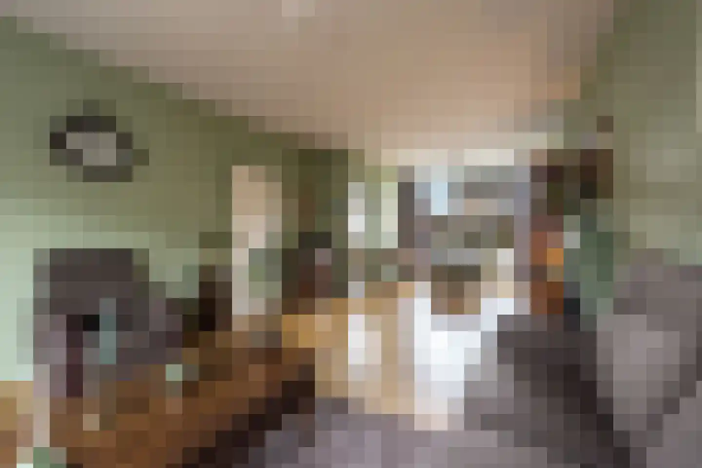 Van der Scheurstraat 30 Heerlen thumbnail 10