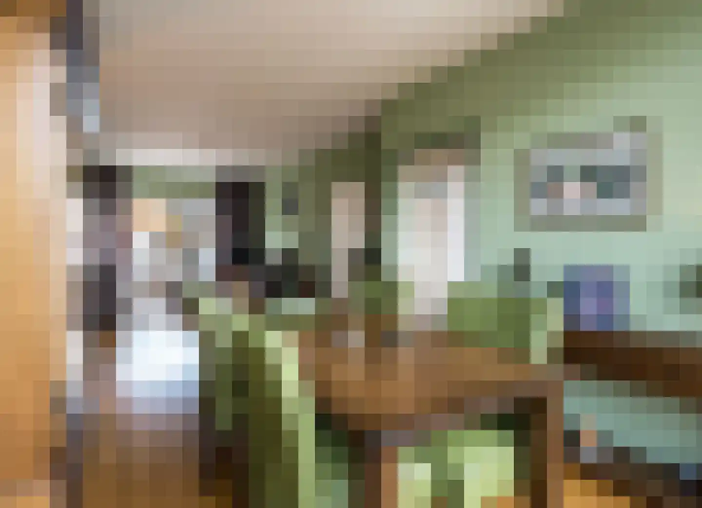 Van der Scheurstraat 30 Heerlen thumbnail 12