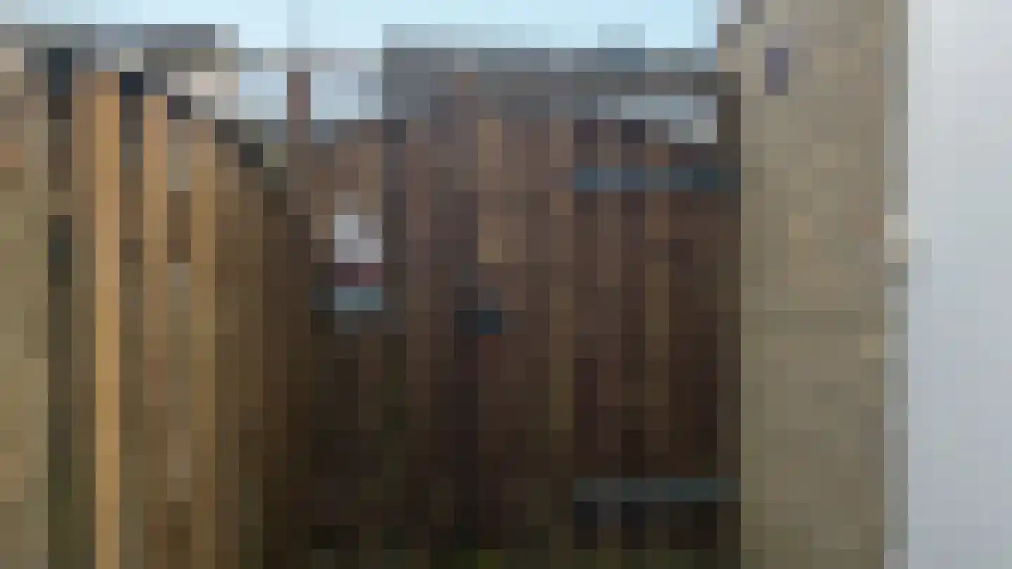 Van der Scheurstraat 30 Heerlen thumbnail 34