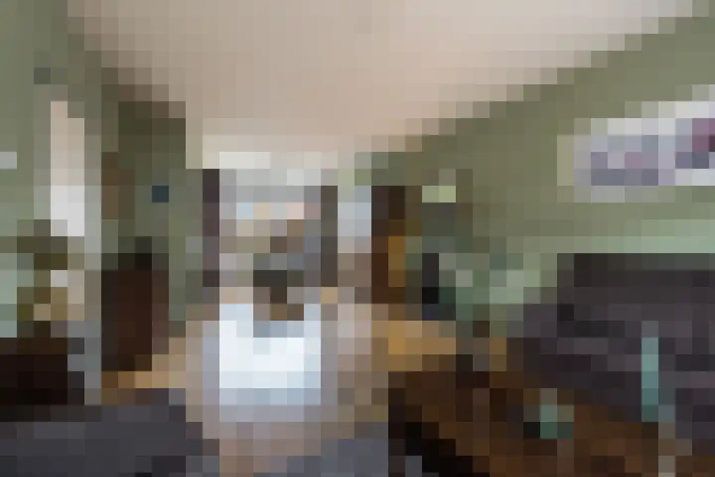 Van der Scheurstraat 30 Heerlen thumbnail 8