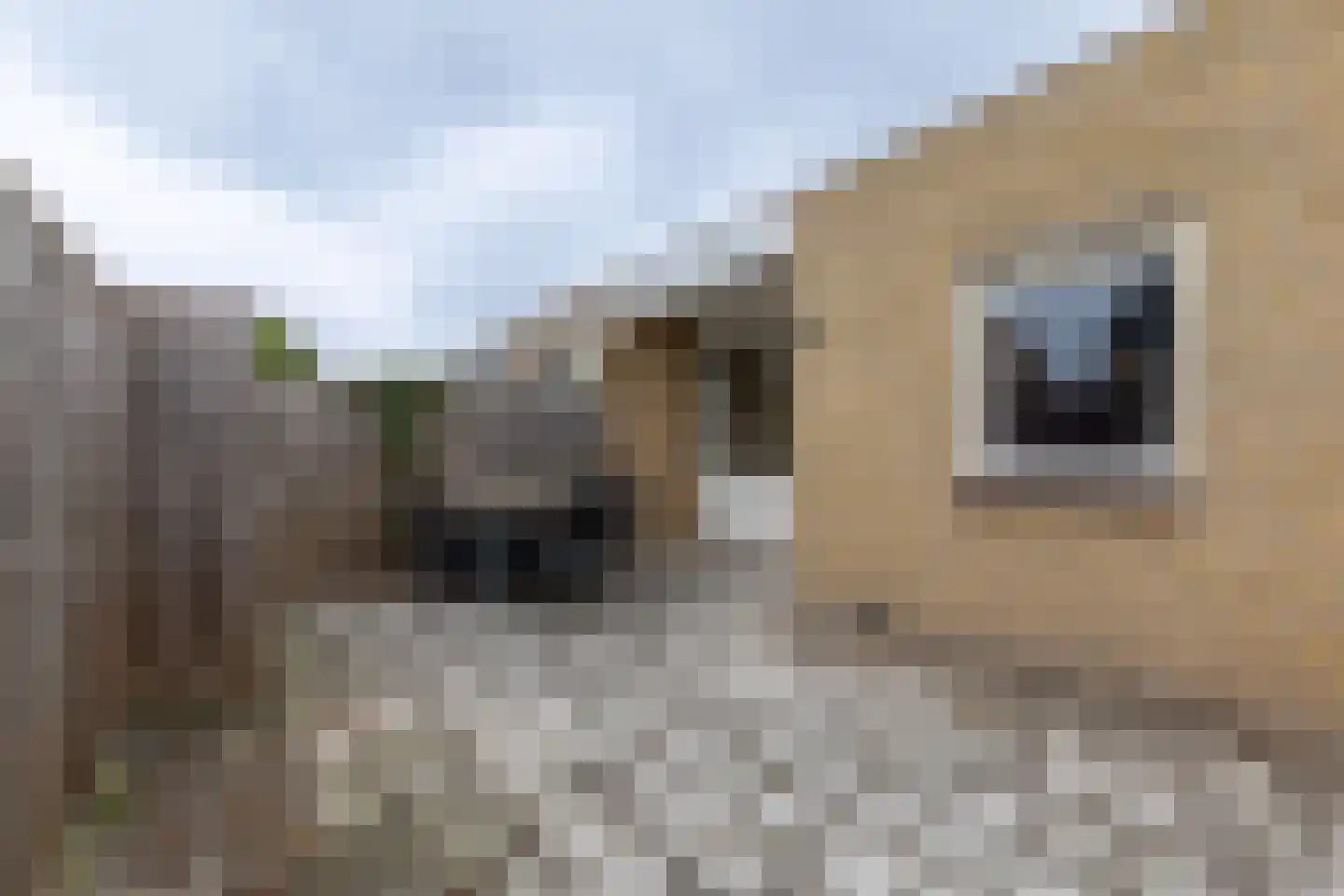 Van der Scheurstraat 70 Heerlen thumbnail 18