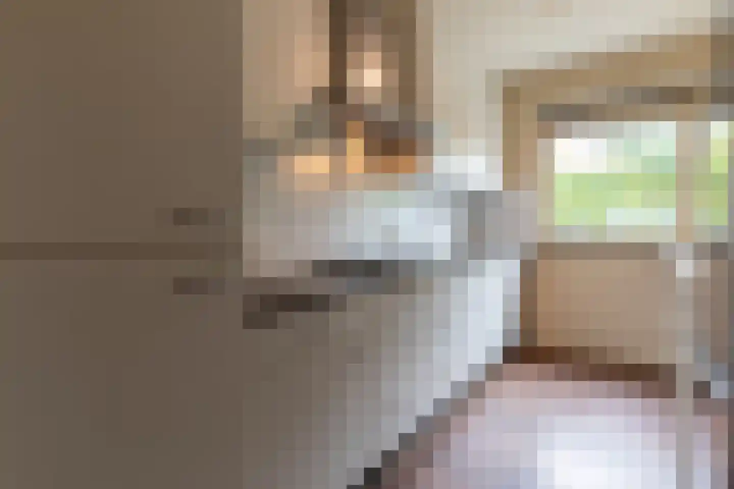 Van der Scheurstraat 70 Heerlen thumbnail 8
