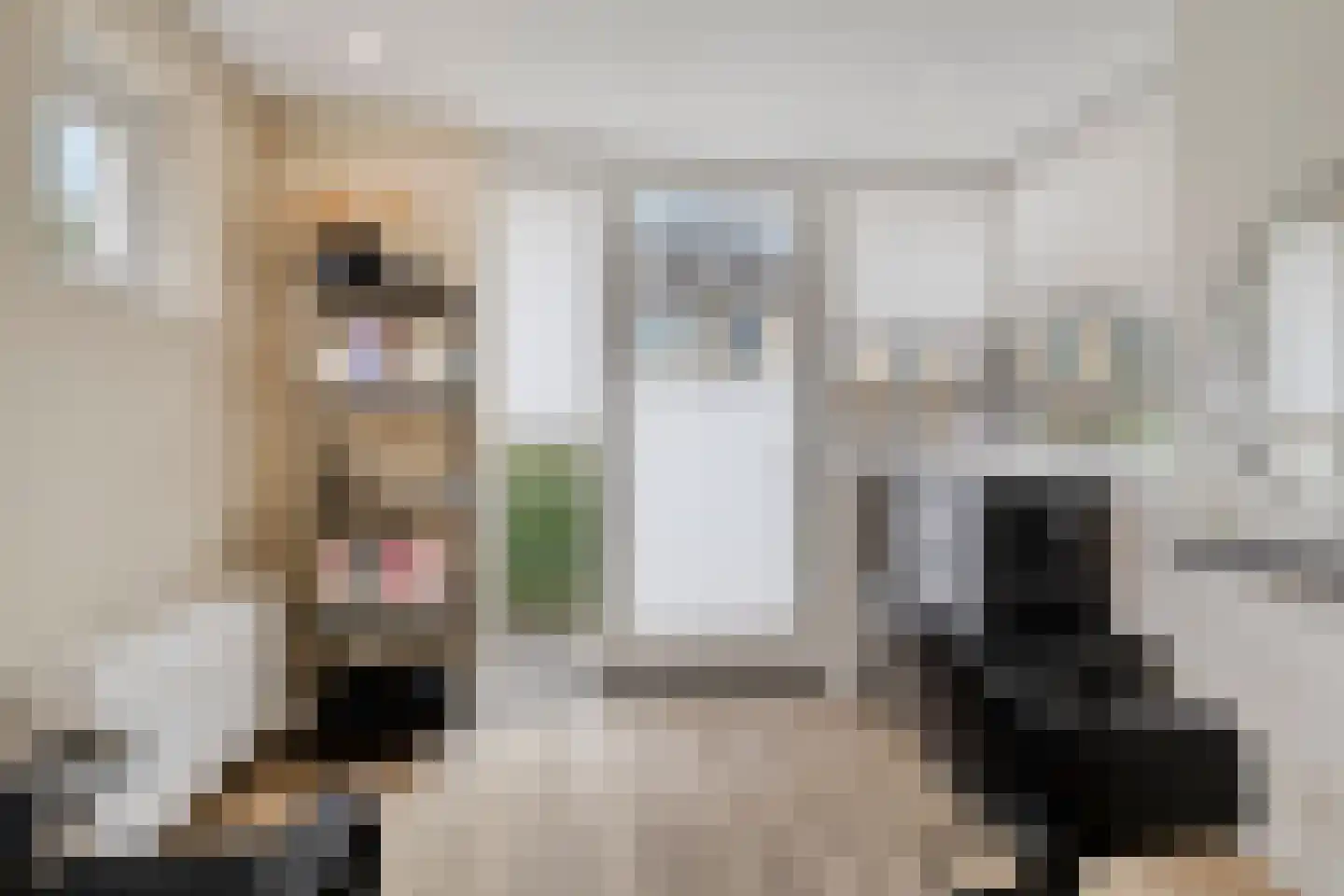 Van der Sevenderlaan 14 Renswoude thumbnail 23