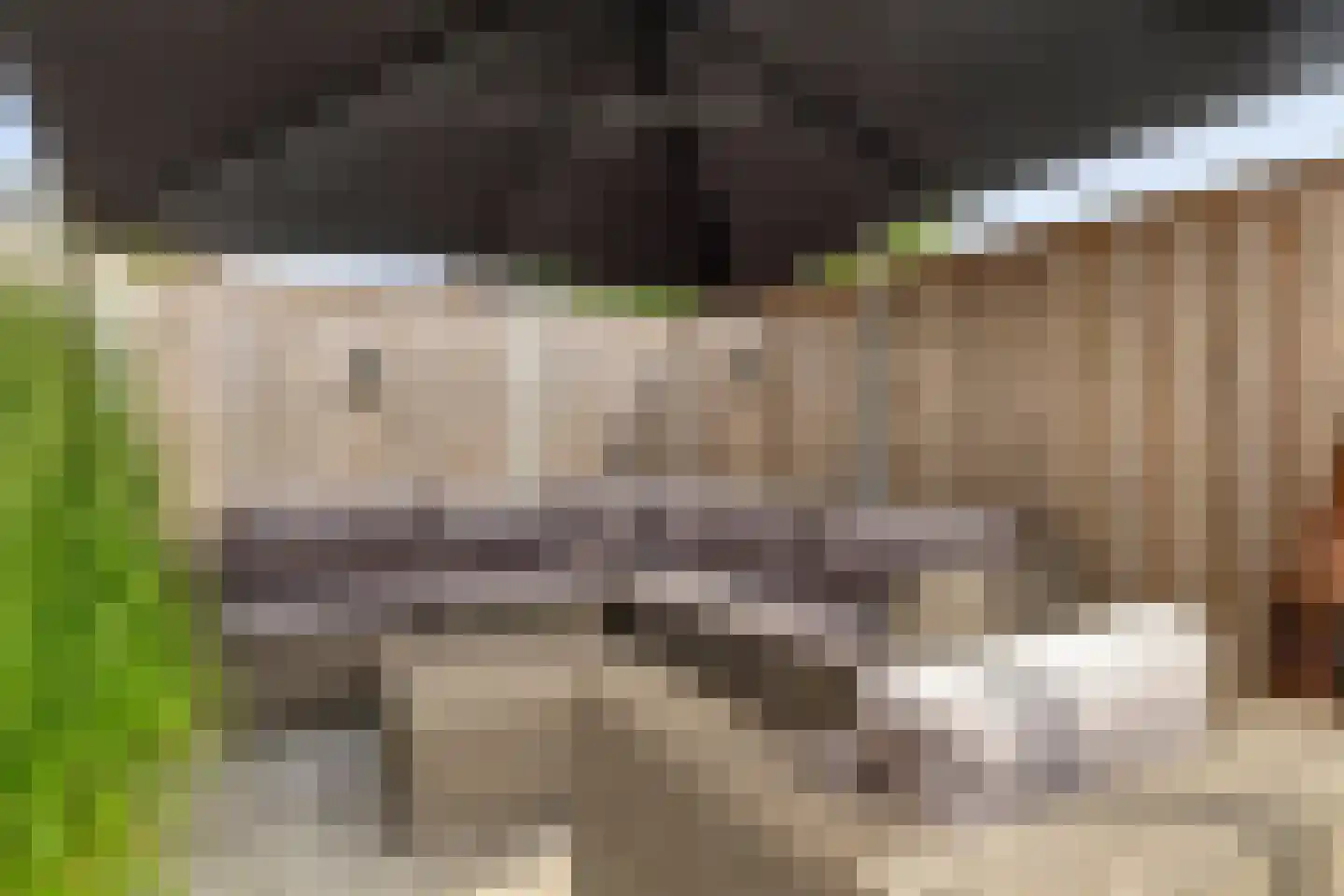 Van der Sevenderlaan 14 Renswoude thumbnail 44