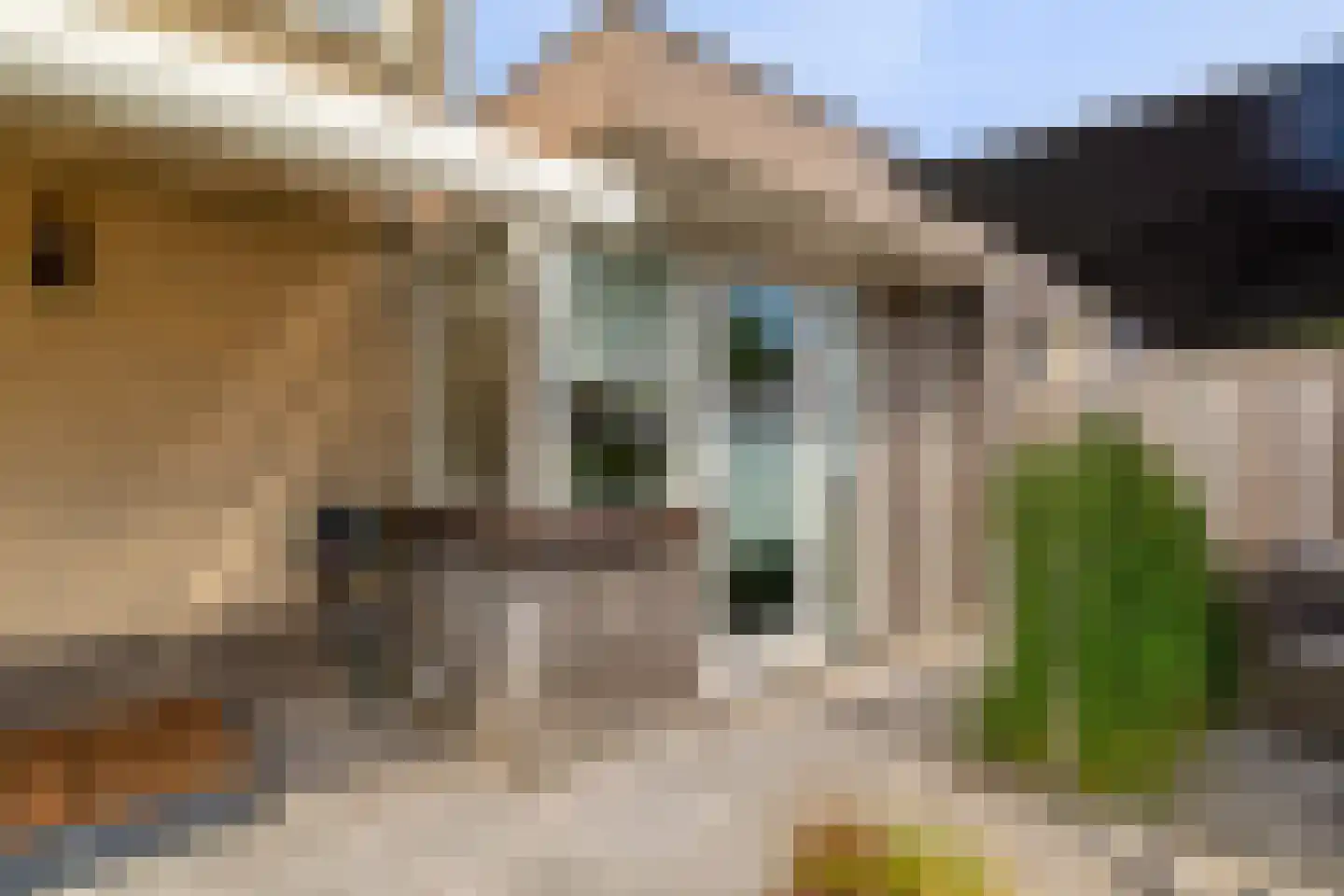 Van der Sevenderlaan 14 Renswoude thumbnail 45