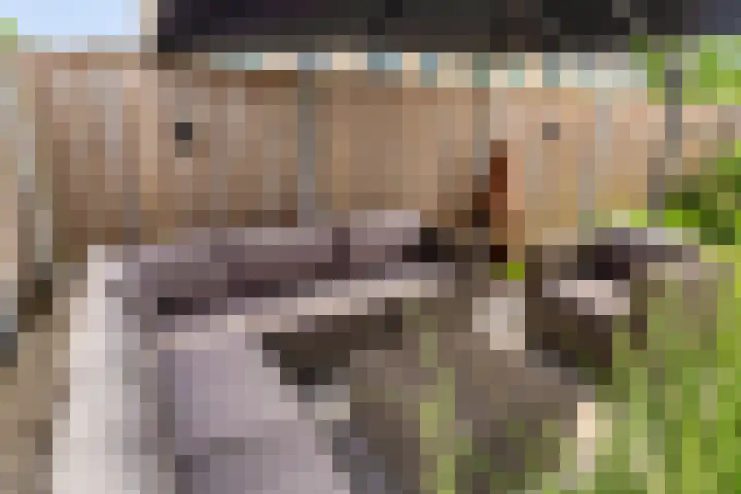 Van der Sevenderlaan 14 Renswoude thumbnail 46