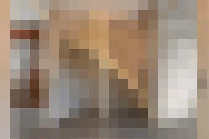 Van der Sevenderlaan 7 Renswoude thumbnail 14