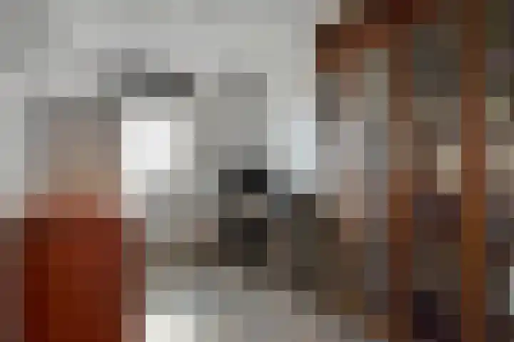 Van der Sevenderlaan 7 Renswoude thumbnail 16
