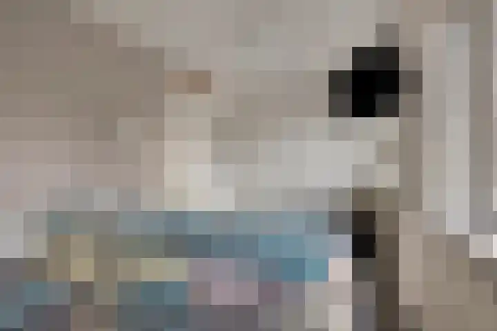 Van der Sevenderlaan 7 Renswoude thumbnail 17