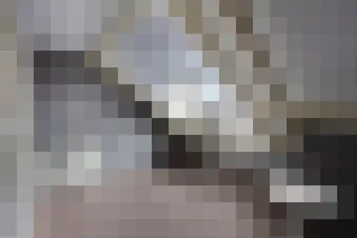 Van der Sevenderlaan 7 Renswoude thumbnail 22