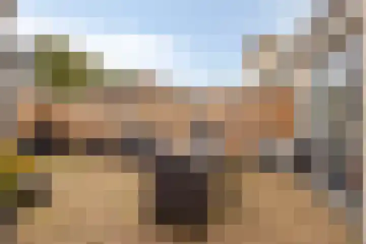 Van der Sevenderlaan 7 Renswoude thumbnail 23