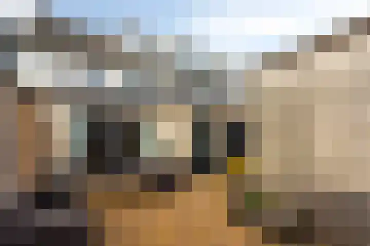 Van der Sevenderlaan 7 Renswoude thumbnail 25